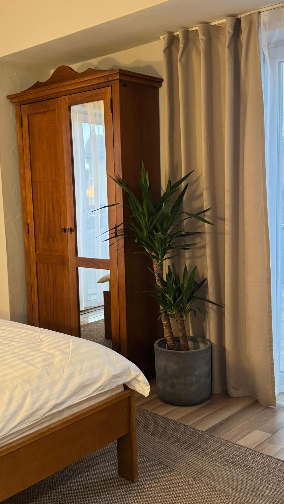 Hotel Lucy Star Cluj-Napoca Eksteriør bilde